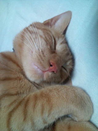 20100408230816.jpg
