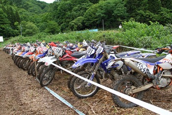 2012stde566.jpg