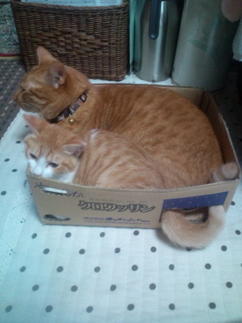 20130921061647.jpg