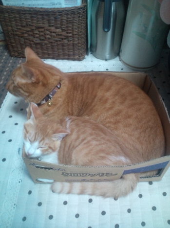 20130921062150.jpg