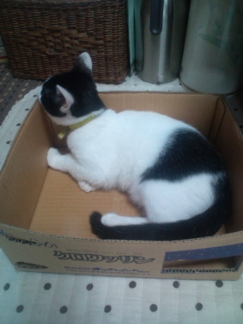 20130921062735.jpg
