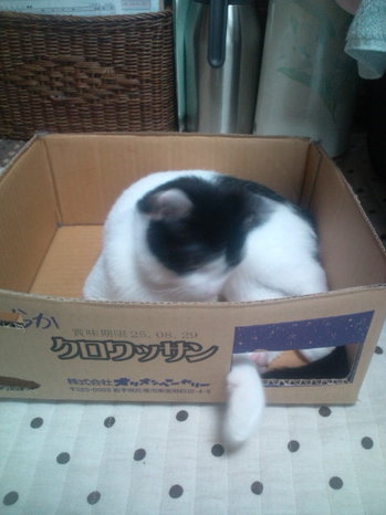 20130921062801.jpg